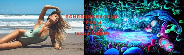стафф Семикаракорск